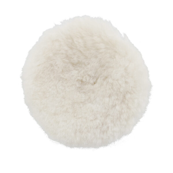 Bone para Polimento - DW 8509