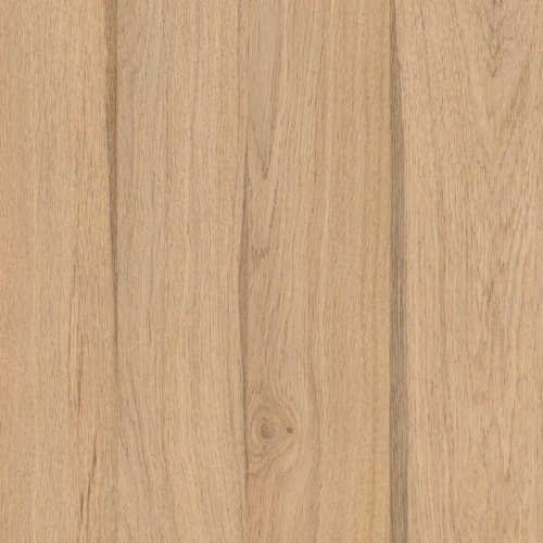 Fita de Borda Autentic Arauco 22MM C/20M