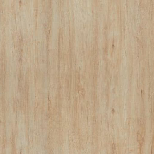 Fita de Borda Carvalho Mel Arauco 22MM C/20M