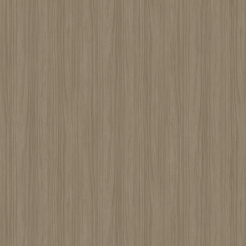 Fita de Borda Nogueira Persa Arauco 22MM C/20M