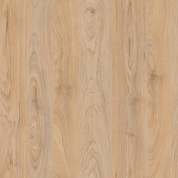 Fita de Borda Ricori Nativo Arauco 22MM C/20M